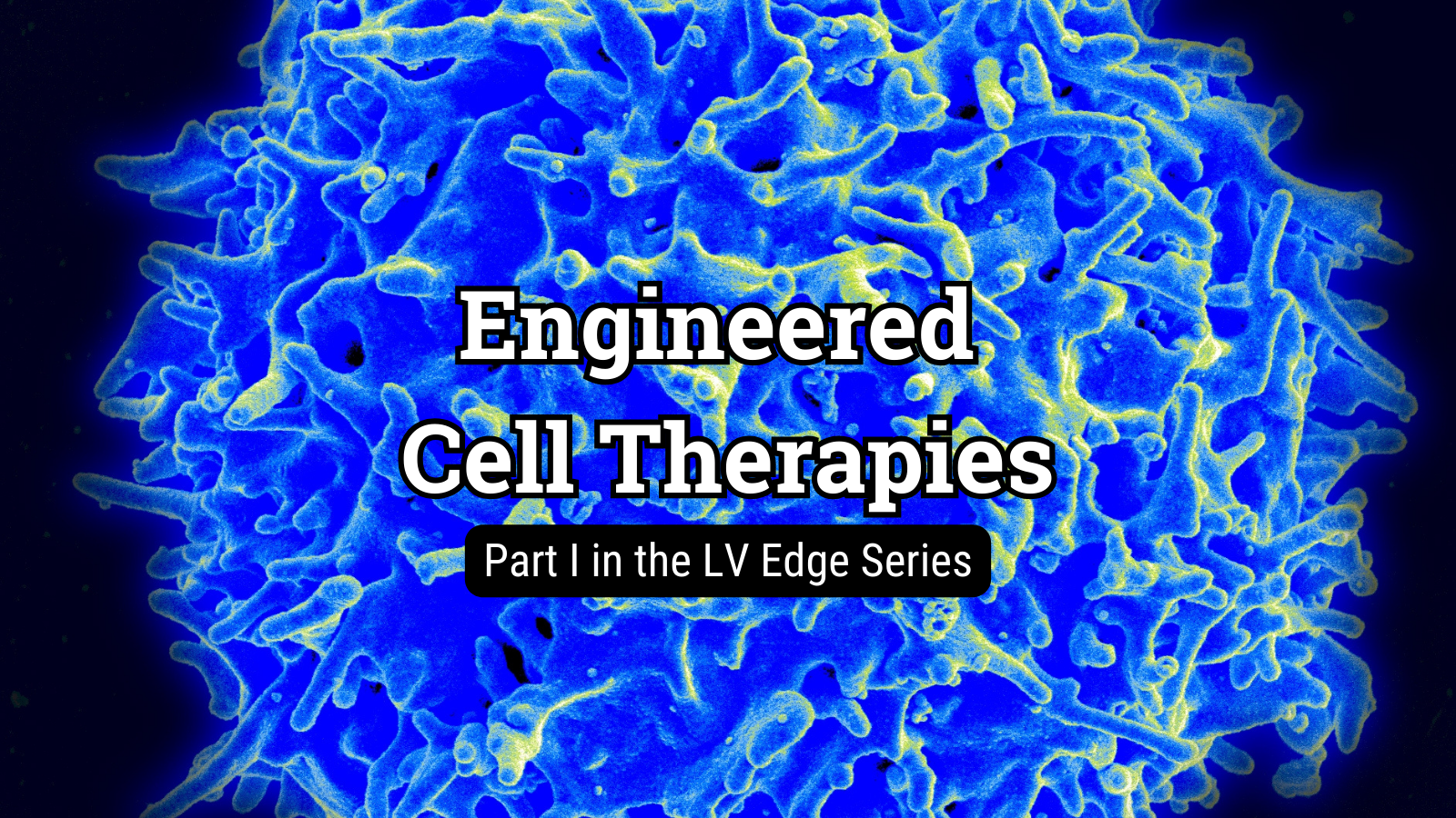 Engineered cell therapies